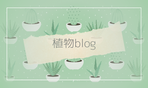 植物blog