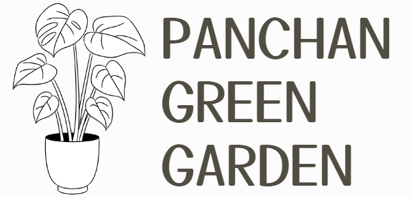 PANCHAN GREEN GARDEN